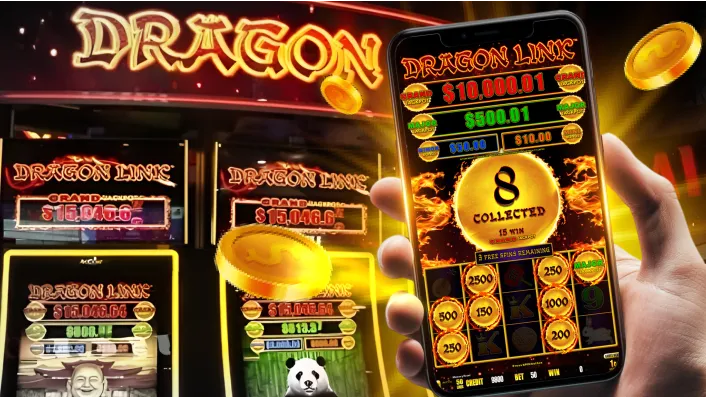 bingoplus Live Casino Welcome Bonus